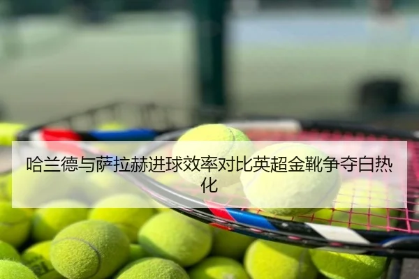 哈兰德与萨拉赫进球效率对比英超金靴争夺白热化