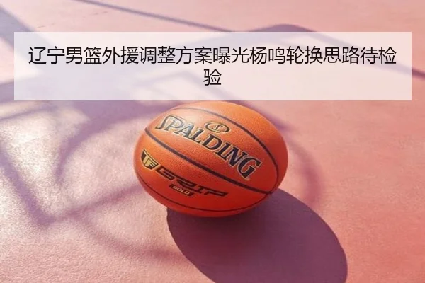 辽宁男篮外援调整方案曝光杨鸣轮换思路待检验